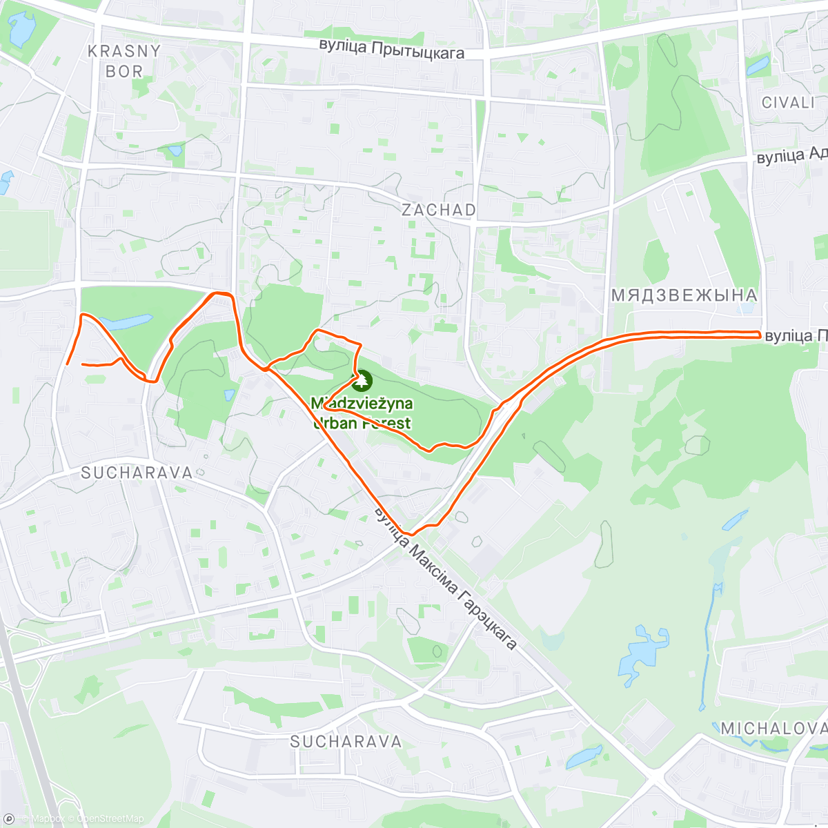 Map of the activity, Afternoon Run