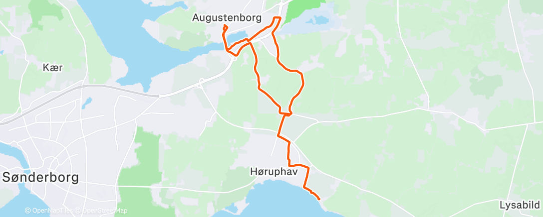 Карта физической активности (Morning Run)