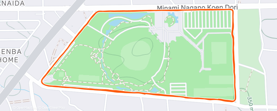 Карта физической активности (Night Run)