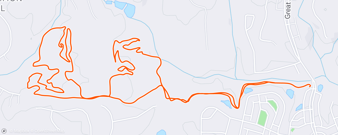 Mapa da atividade, Morning Trail Run