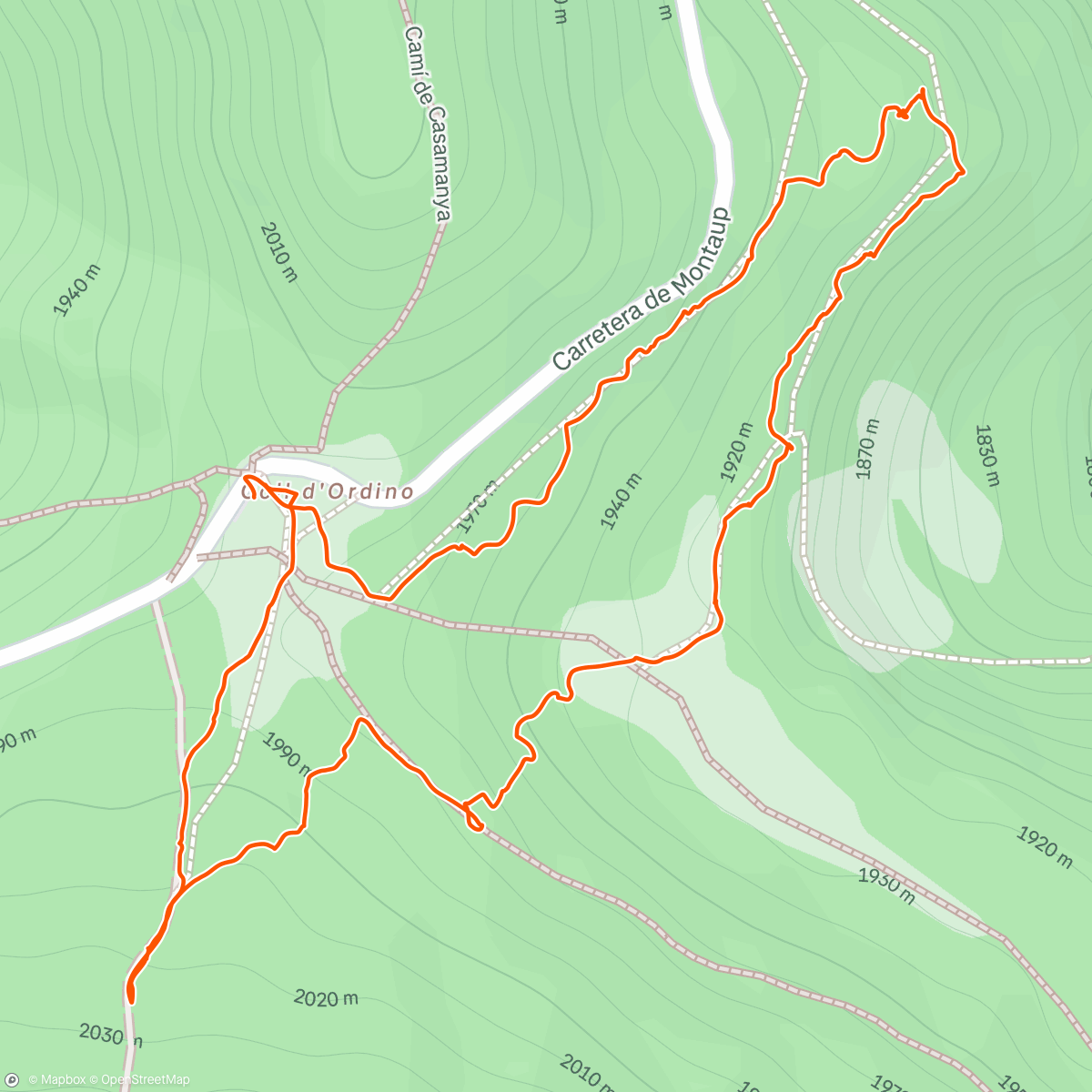 Карта физической активности (Snowshoe test)