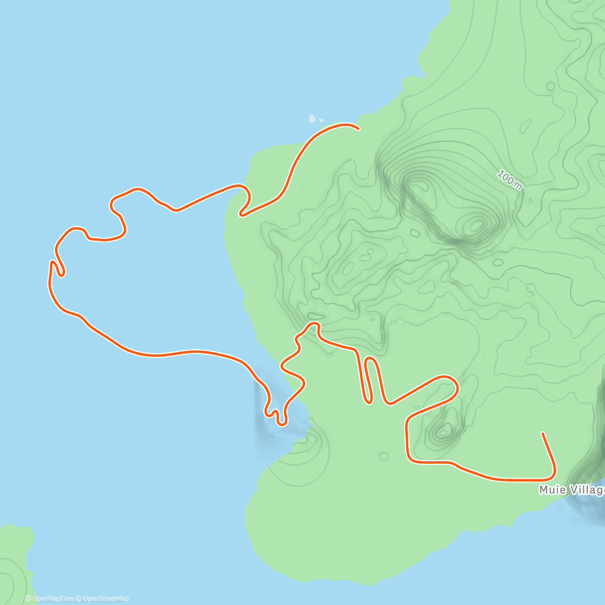 Карта физической активности (Zwift - ESP Low-Lactate Track Warm-up (2025-12-25) on Beach Island Loop in Watopia)
