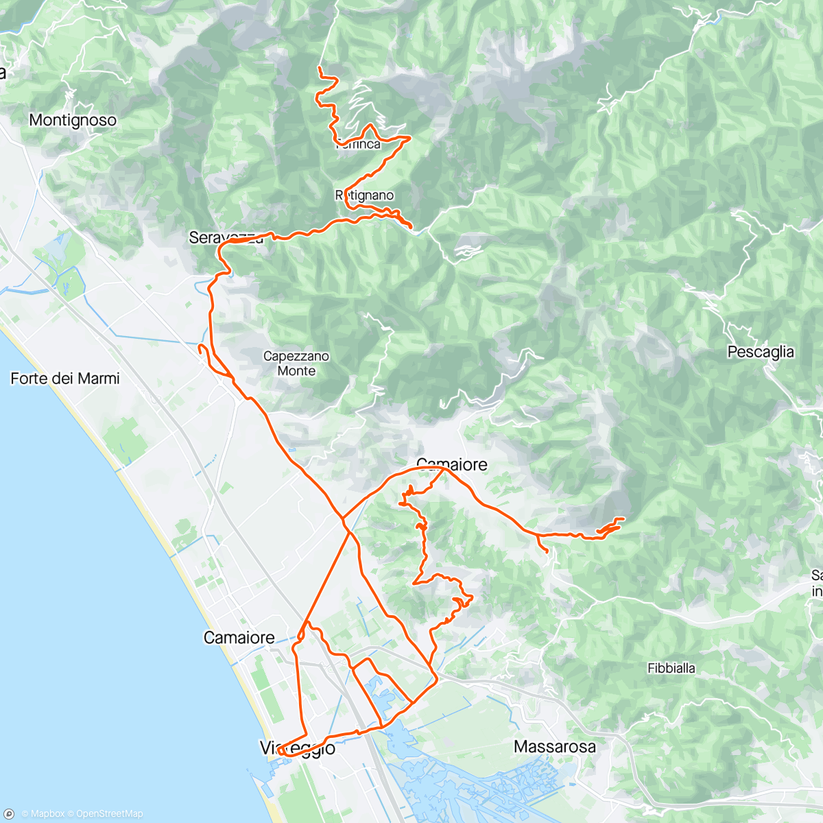 Map of the activity, ALTRO