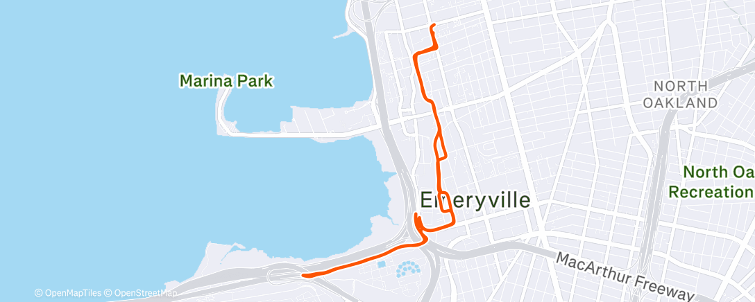 Карта физической активности (Afternoon Run)