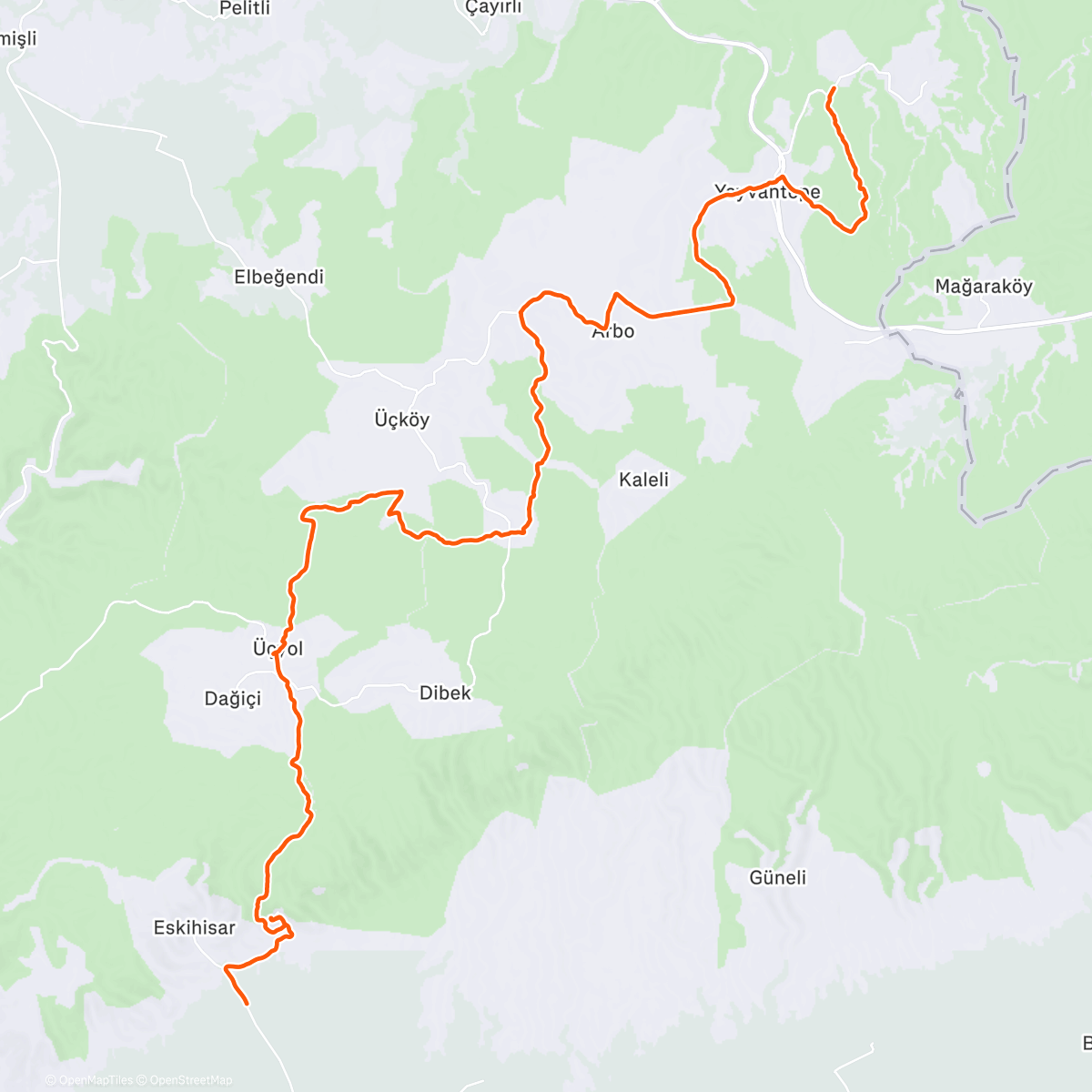 Map of the activity, Morning Trail Run