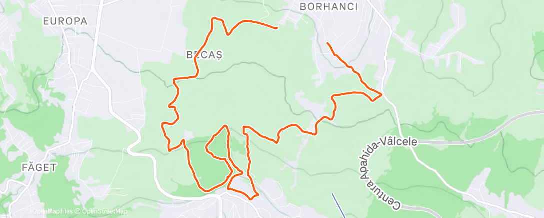 Map of the activity, Afternoon Trail Run
