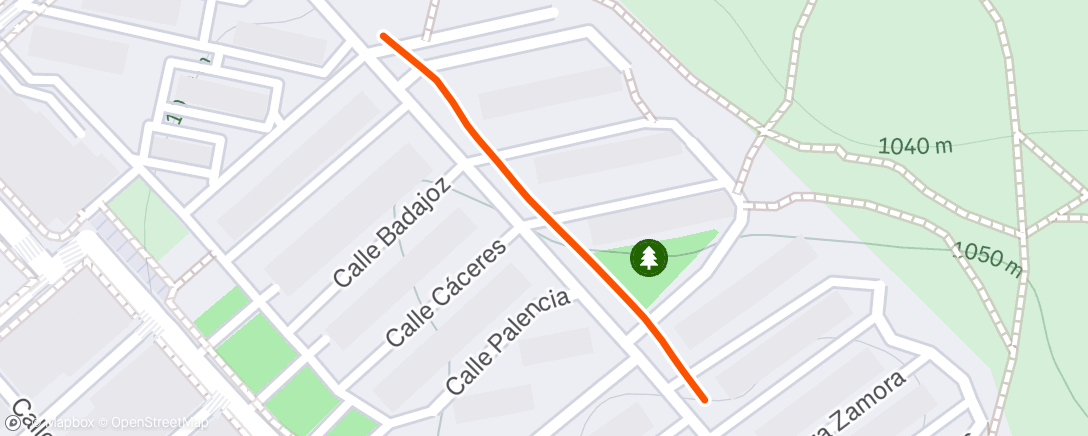 Map of the activity, Carrera de tarde