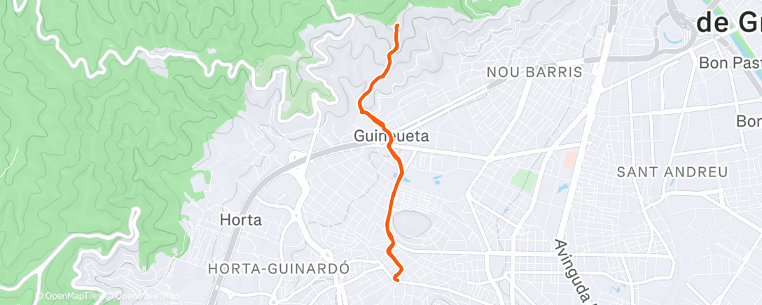 Карта физической активности (Morning Trail Run)