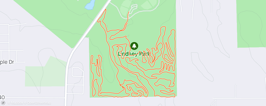Map of the activity, Morning ride