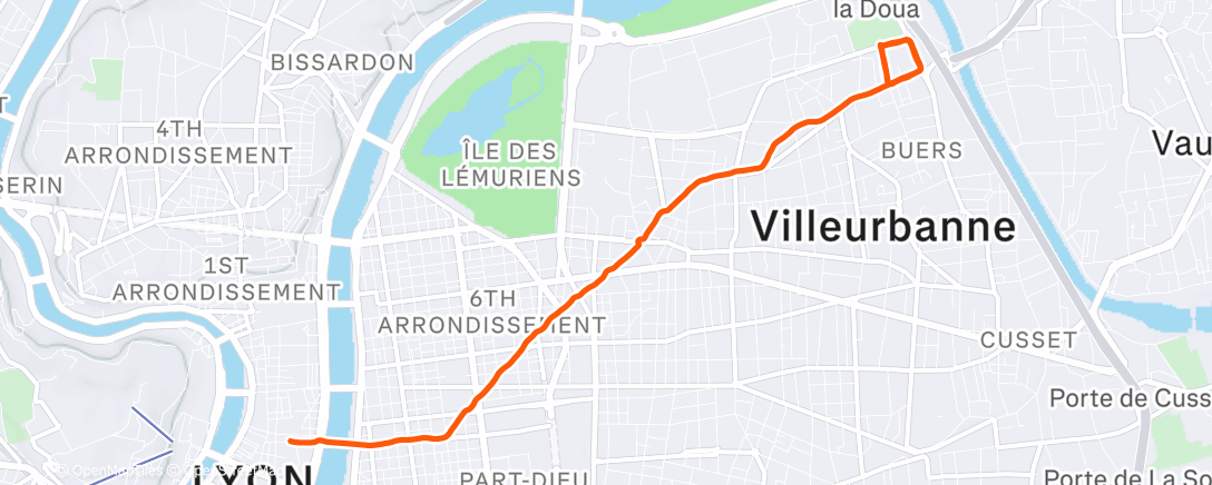 Карта физической активности (BACK LRC)