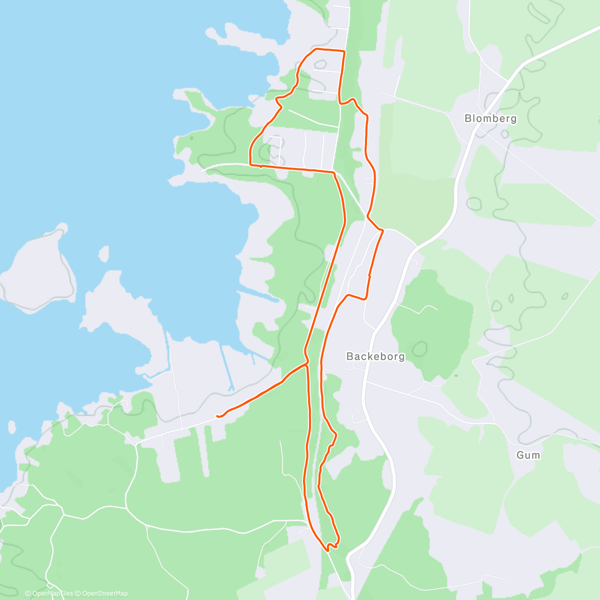 Map of the activity, Morning Run