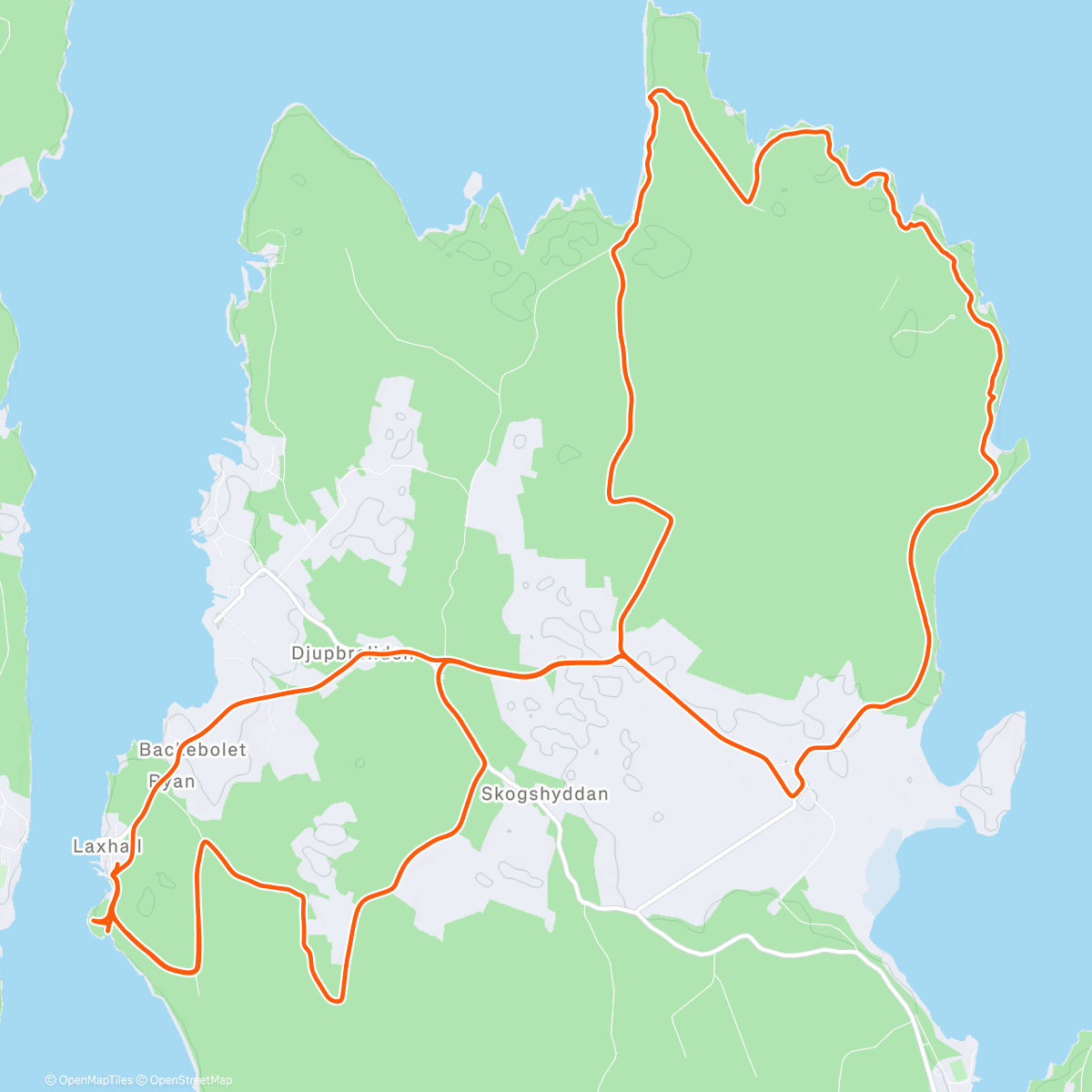 Карта физической активности (🩵🌲)