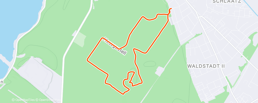 Карта физической активности (Doggy Sundowner)