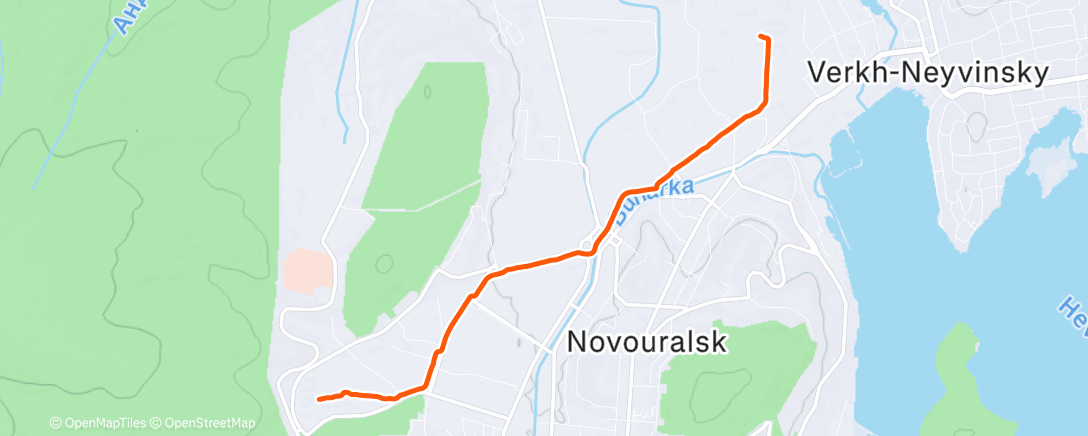 Карта физической активности (Утренняя прогулка)