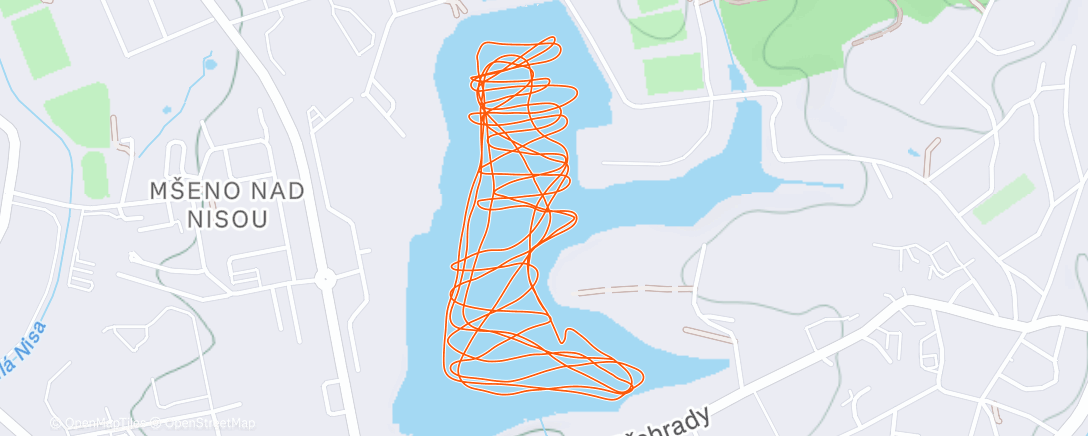 Карта физической активности (Afternoon Ice Skate)