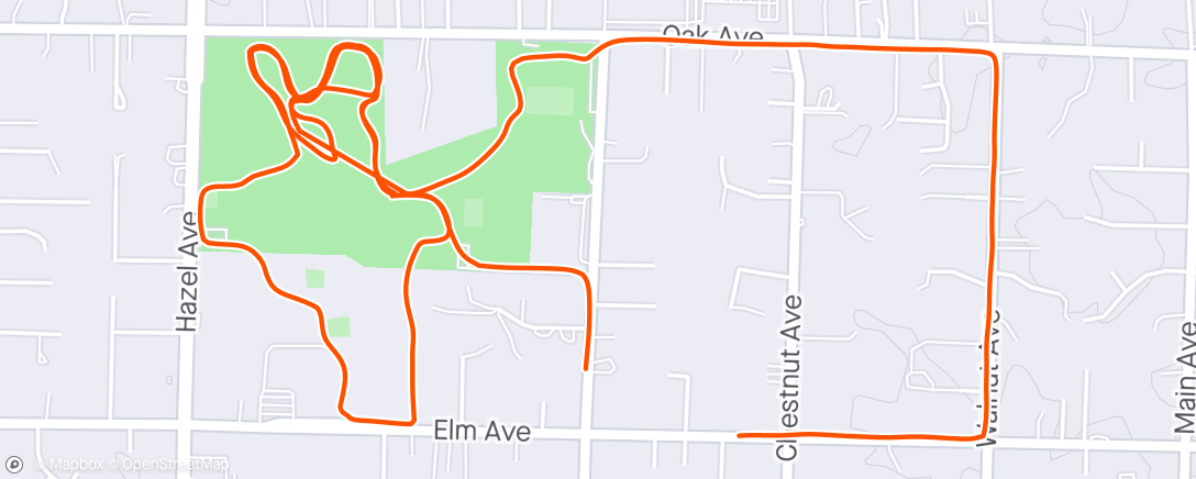Mapa de la actividad (Afternoon Run)