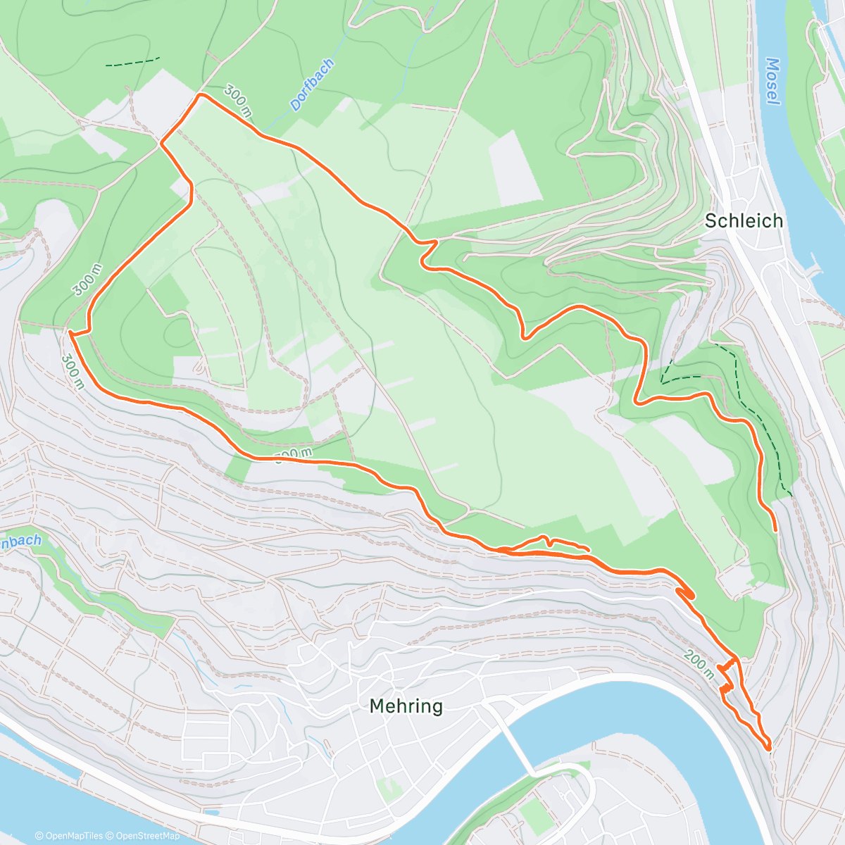 Карта физической активности (Mittagslauf)