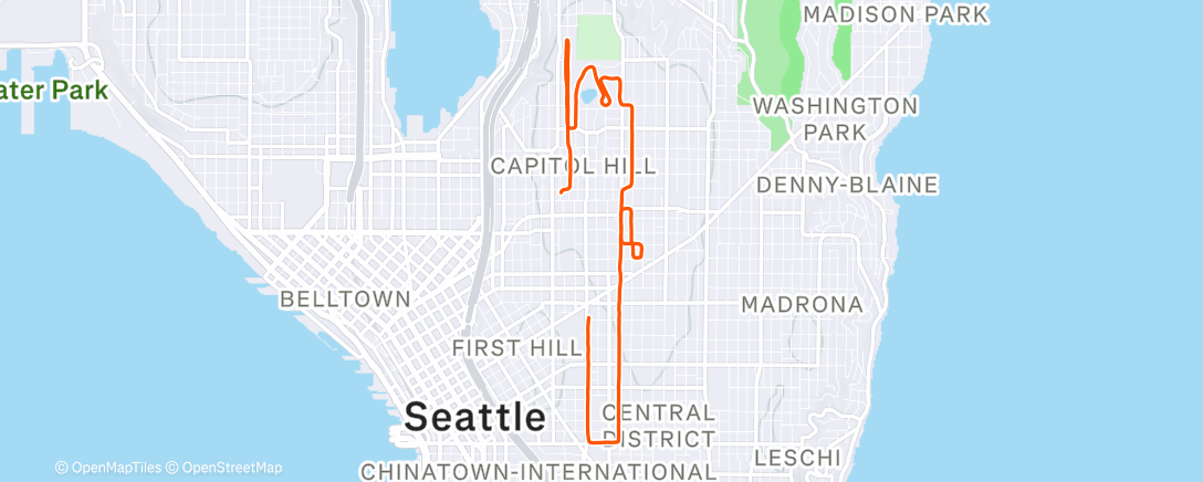 Map of the activity, Afternoon Run