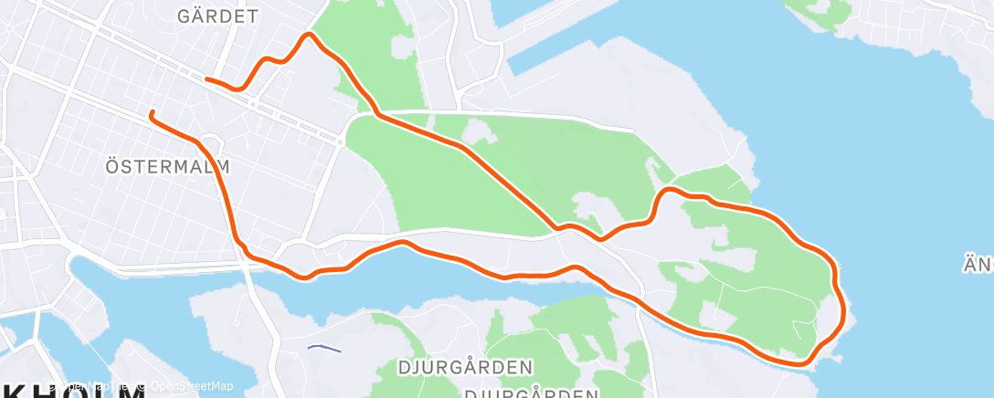Map of the activity, Morning Run
