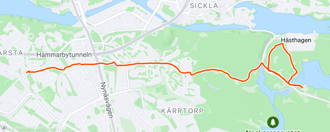 Map of the activity, Evening Run