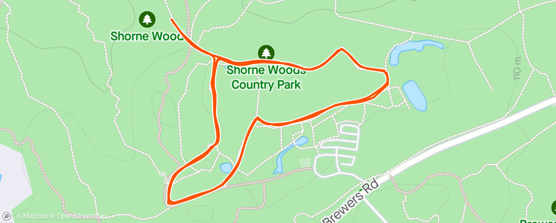 Map of the activity, Shorne Woods parkrun #270