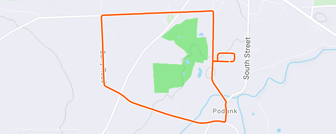 Карта физической активности (Curry Loop)