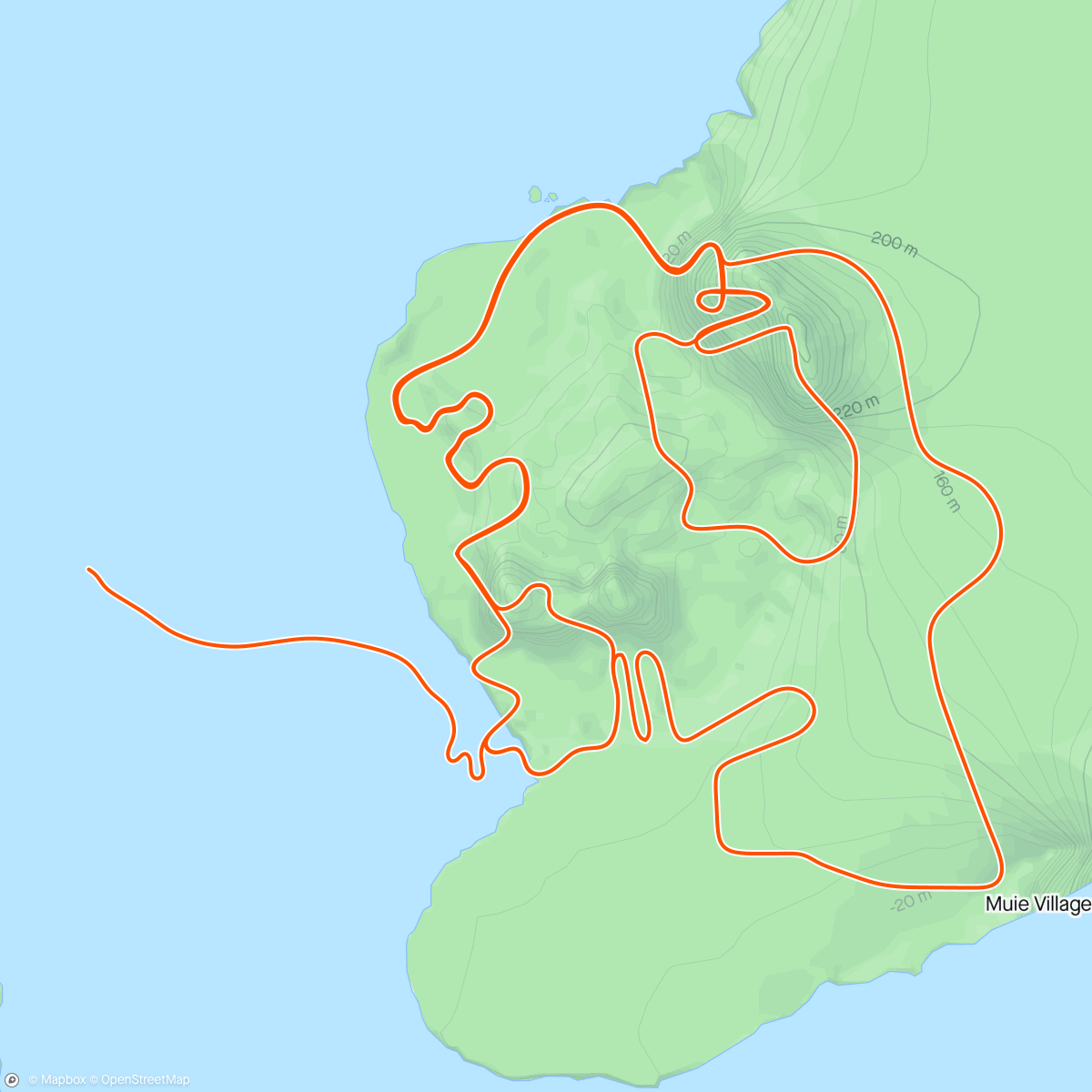 Map of the activity, Zwift - Introductory Intervals in Watopia