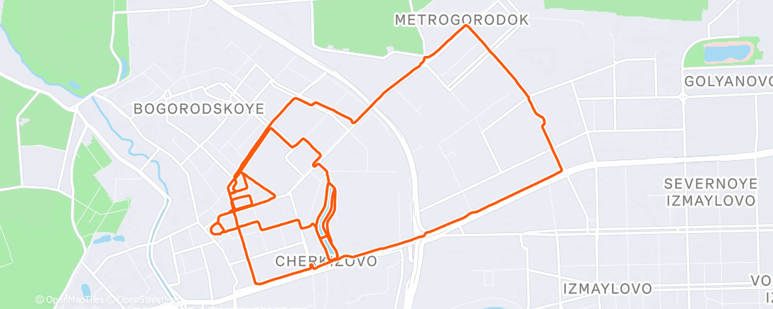 Карта физической активности (Утренний забег)