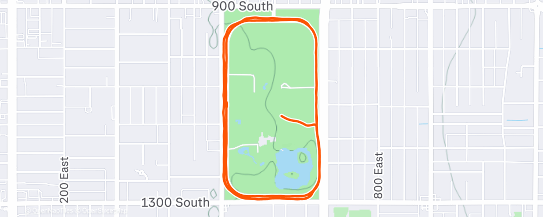 Map of the activity, 5k a day #8