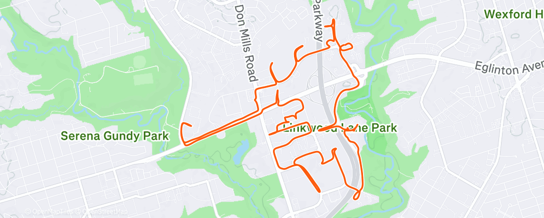 Карта физической активности (Easy Days Easy 🥶)