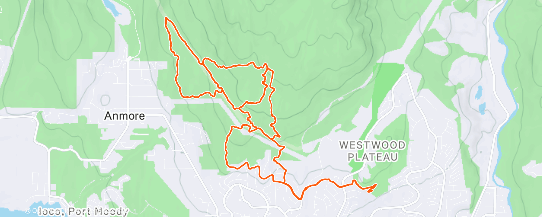 Карта физической активности (Afternoon Ride)