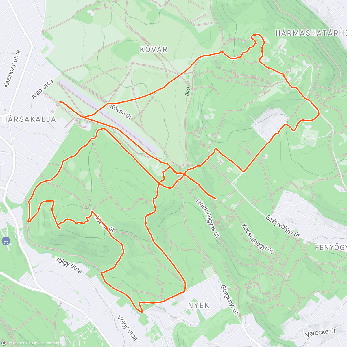 Mapa de la actividad, Evening Trail Run