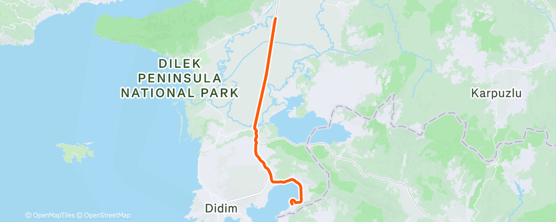 Карта физической активности (Morning Ride)