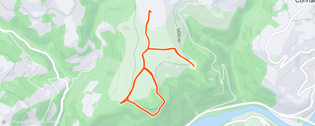 Map of the activity, Morning Run