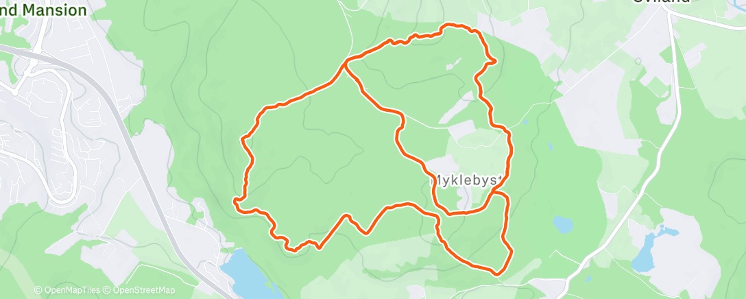 Карта физической активности (Morning Trail Run)