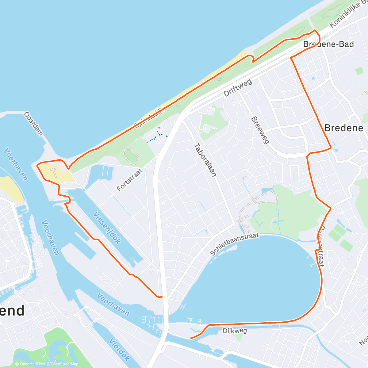 Карта физической активности (TeamFischer nieuwjaarsloopje op de Elliptigo)