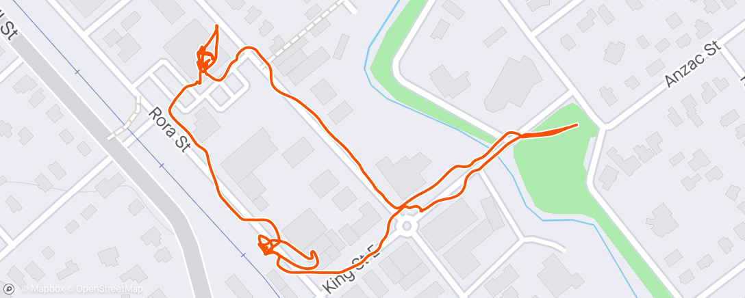 Map of the activity, Wheeling to the supermarket and back in the wheelchair today : )