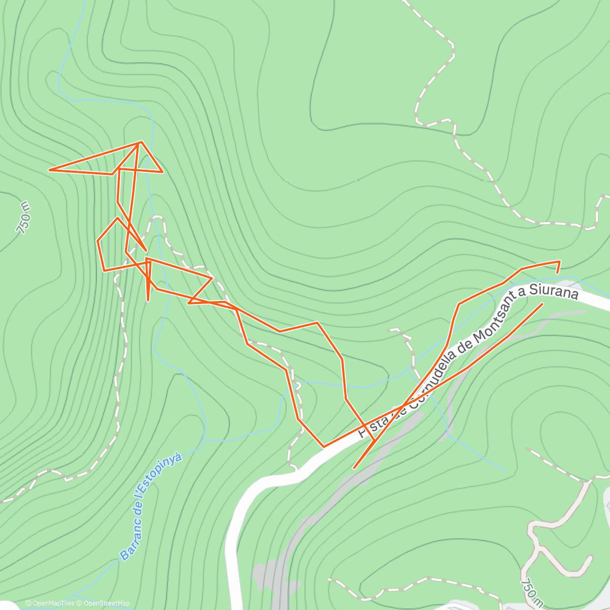 Map of the activity, Soggy rocks