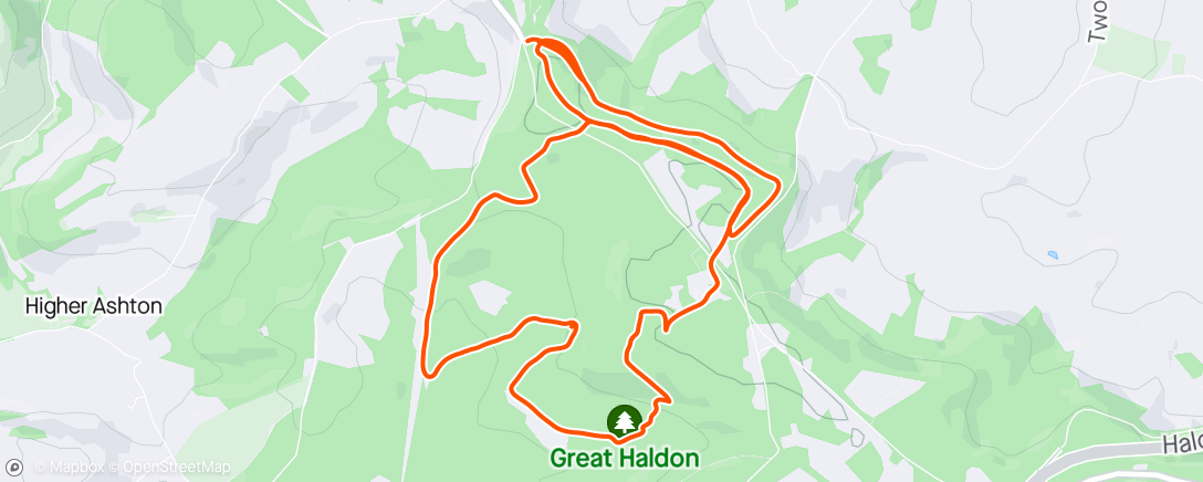 Map of the activity, Trail run at Haldon 🏃‍♂️🏃‍♂️🏃‍♀️