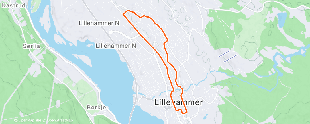 Карта физической активности (Ribberun)