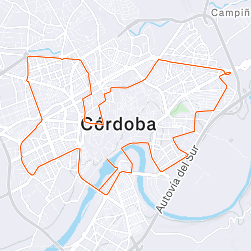 Media Maraton Cordoba 2019 21.4 km