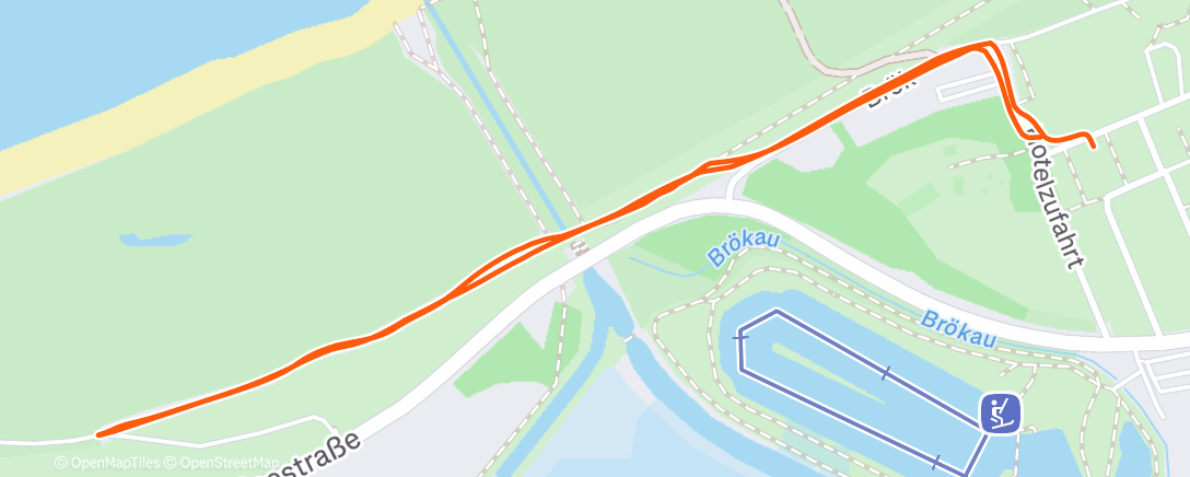 Карта физической активности (Spaziergang am Morgen)