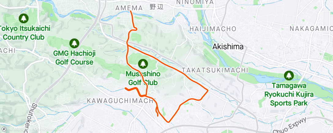 Map of the activity, 夜のランニング