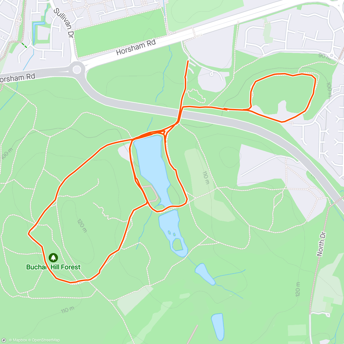 Map of the activity, Afternoon Workout walk with yoshi🐕‍🦺