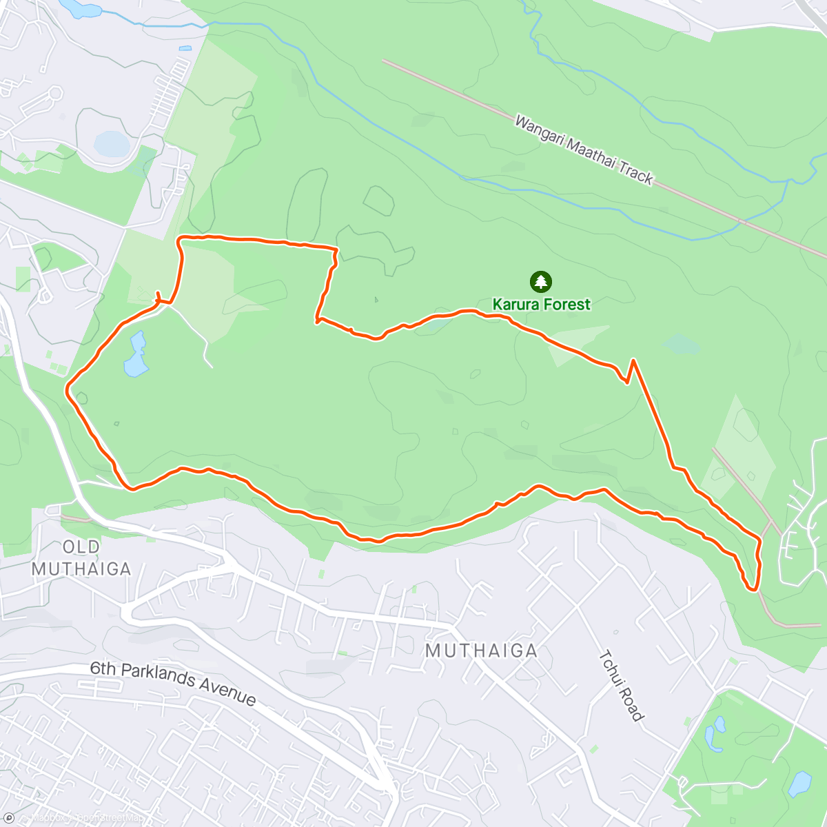 Map of the activity, Karura forest