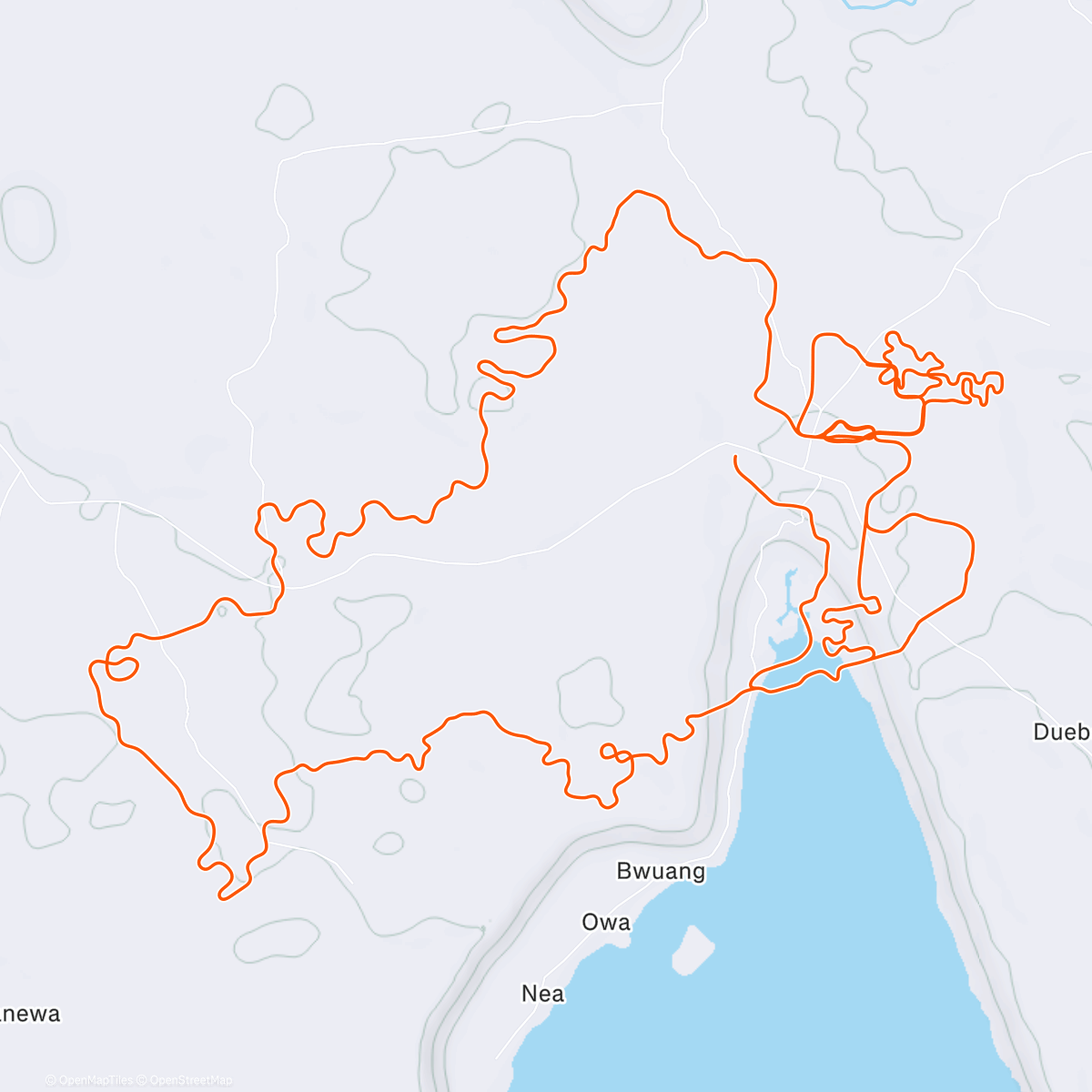 Карта физической активности (Zwift - Tropic Rush in Makuri Islands)