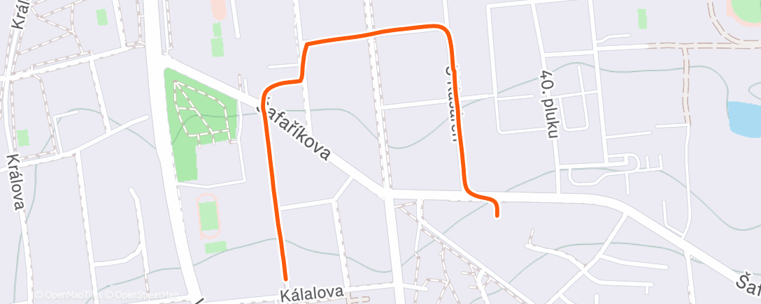 Map of the activity, 🐕🥰🚶‍♀️