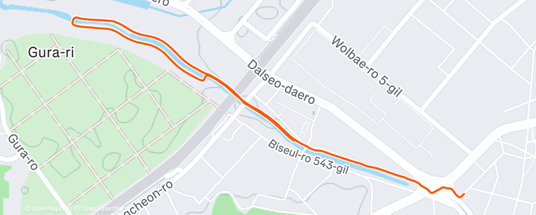 Карта физической активности (Night Run)