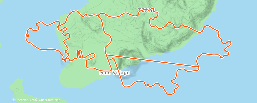 Map of the activity, NYE