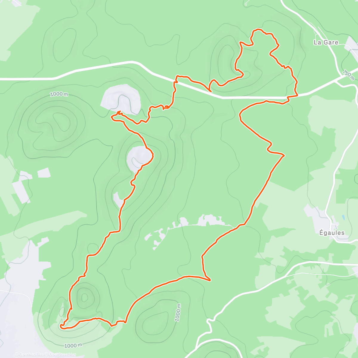 Карта физической активности (Morning Trail Run)